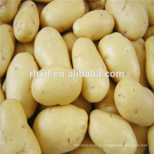 Preço de batatas novas da China